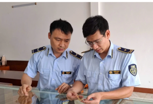 Thanh Hóa: Xử phạt 1 cơ sở kinh doanh vàng không rõ nguồn gốc xuất xứ 180 triệu đồng