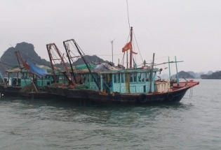Quảng Ninh: 2 tàu cá tàng trữ ngư cụ trái phép bị phạt 40 triệu đồng