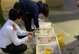 Thanh Hóa: Bắt xe tải trở cá khoai ngâm hóa chất độc lại