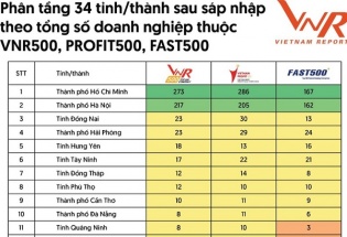 Vietnam Report công bố 'Bản đồ phát triển doanh nghiệp Việt Nam thời khắc chuyển giao'