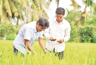 Nghị quyết 57-NQ/TW: Chuyển đổi số tạo đòn bẩy nâng cao giá trị sản phẩm nông nghiệp