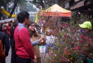 Bộ Công Thương yêu cầu đảm bảo nguồn cung hàng hóa, bình ổn thị trường dịp Tết Bính Ngọ
