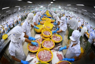 Ngành thủy sản Việt Nam lập kỷ lục 11,3 tỷ USD trong năm 2025