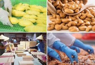 Ngành Nông nghiệp và Môi trường đặt mục tiêu xuất khẩu 74 tỷ USD trong năm 2026