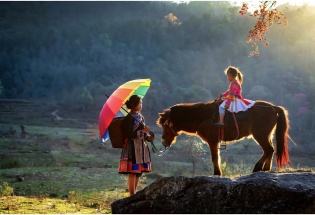 Ngựa trong mùa xuân Tây Bắc – Khúc tự tình giữa mây ngàn