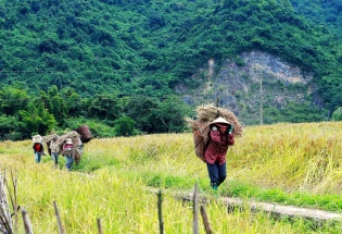 Tấm “Hộ chiếu” OCOP giúp đặc sản vùng sơn cước xứ Thanh vươn xa