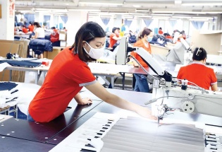 Doanh nghiệp mới được miễn thuế 3 năm: Cơ hội vàng cho người khởi nghiệp