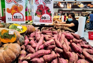 Người Nhật chi hơn 6.000 tỷ đồng mua rau quả Việt: Hoa cúc, chuối và khoai lang chiếm ưu thế