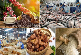 Nông sản Việt hướng tới mục tiêu xuất khẩu 100 tỷ USD