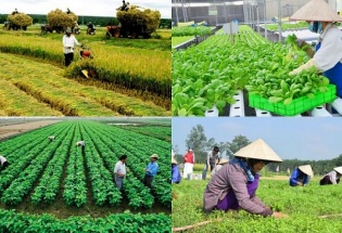 Hỗ trợ Hợp tác xã chuyển đổi số và nâng cao năng lực cạnh tranh năm 2026