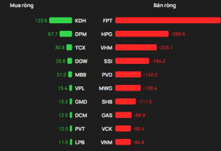 Cổ phiếu dầu khí bị bán tháo, khối ngoại xả ròng kỷ lục hơn 3.200 tỷ đồng
