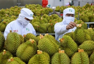 Nông lâm thủy sản tăng tốc ngay đầu năm, củng cố mục tiêu 75 tỷ USD