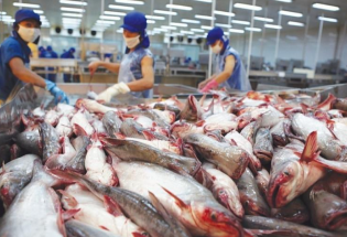 Bất chấp biến động toàn cầu, xuất khẩu thủy sản hướng tới mục tiêu 11,5 tỷ USD