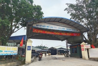 Vụ tiêu thụ 300 tấn lợn bệnh: Cục Chăn nuôi và Thú y sẽ lập đoàn kiểm tra các cơ sở giết mổ 