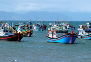 Tập trung triển khai Hệ thống eCDT: Giải pháp then chốt để gỡ “thẻ vàng” IUU