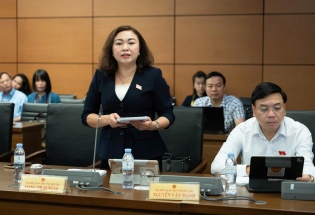 Đại biểu Quốc hội: Cần đầu tư vào nghệ nhân – những 'báu vật nhân văn sống'