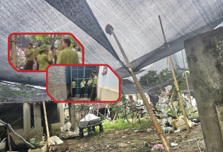 Thanh Hóa: Thu giữ 122 cây muội hồng không rõ nguồn gốc tại nhà dân