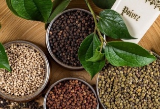 Thị trường nội địa ổn định, xuất khẩu tiêu sang Mỹ tăng vọt gần 61%