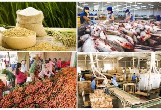 Xuất khẩu nông lâm thủy sản đạt 23 tỷ USD trong 4 tháng