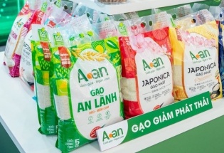 Xây dựng nhãn hiệu “Gạo Việt Xanh phát thải thấp”, nâng tầm hạt gạo Việt