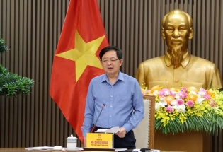 Xử lý nghiêm hành vi mua bán mã số vùng trồng, bảo vệ uy tín nông sản Việt
