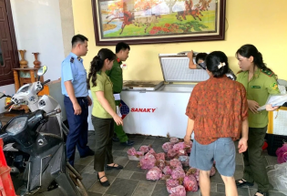 Thanh Hóa: Phát hiện 290 cá thể cò hương cấp đông chờ đưa đi tiêu thụ