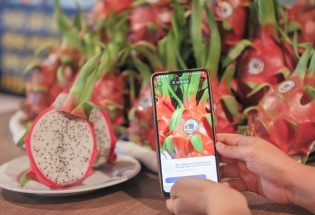 Truy xuất nguồn gốc nông sản: “Hạ tầng mềm” để bứt phá xuất khẩu bền vững