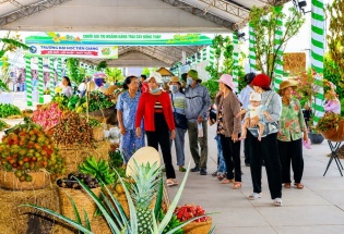 Lễ hội Trái cây Đồng Tháp thu hút 500.000 lượt khách, khẳng định vị thế 'Miền trái ngọt'