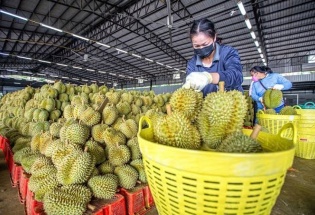 Nông sản Việt đối mặt những thách thức mới tại thị trường Trung Quốc 