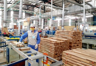 Ngành gỗ vượt 'rào cản xanh', hướng tới mục tiêu 19 tỷ USD