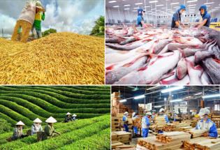 Ngành nông nghiệp và môi trường phải tiên phong chuyển đổi số