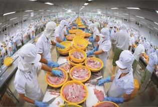 Ngành thủy sản Việt cần tháo gỡ 'điểm nghẽn' để bứt phá