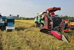 Thúc đẩy lúa gạo phát thải thấp, chìa khóa nâng tầm giá trị hạt gạo Việt