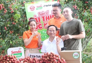 Bắc Ninh: Tiêu thụ vải thiều qua thương mại điện tử bứt phá, doanh thu đạt hơn 7.200 tỷ đồng