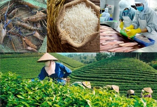 Chiến lược thúc đẩy xuất khẩu nông lâm thủy sản vượt ngưỡng 74 tỷ USD