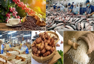 Xuất khẩu nông, lâm, thủy sản tăng trưởng ấn tượng, đạt gần 42,8 tỷ USD