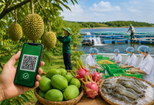 Đơn giản hóa mã số vùng trồng, đưa nông sản Việt vươn tầm quốc tế
