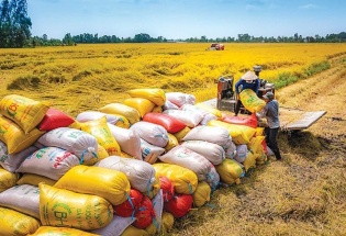 Giải pháp thúc đẩy xuất khẩu gạo, góp phần tăng trưởng 2 con số