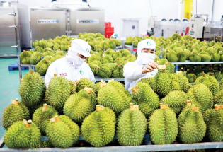Hoàn thiện 'hạ tầng kỹ thuật' để xuất khẩu rau quả sang Trung Quốc bứt phá