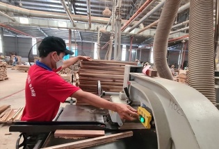 Thị trường nội địa: 'Trụ cột' tăng trưởng mới của ngành gỗ Việt