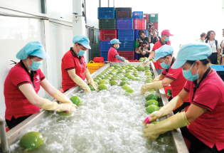 Nông, lâm, thủy sản xuất siêu lớn, khẳng định vai trò 'trụ đỡ' nền kinh tế