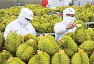 Xuất khẩu rau quả Việt Nam tăng trưởng mạnh, hướng đến mốc 10 tỷ USD