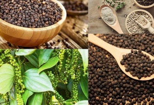 Ngành tiêu tăng tốc xuất khẩu và bài toán giữ thị phần