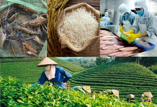 Biến danh tiếng vùng đất thành sức cạnh tranh cho hàng nông sản