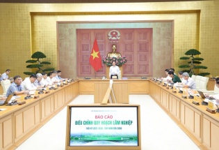 Quy hoạch lâm nghiệp phải giải quyết thực chất sinh kế, để đời sống người giữ rừng tốt hơn