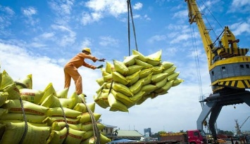 Điều kiện kinh doanh xuất khẩu gạo