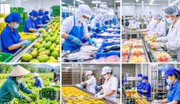 Doanh nghiệp Việt cần chuyển mạnh từ tư duy bán hàng sang phát triển thị trường