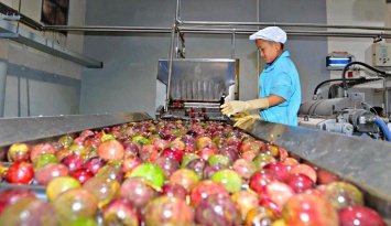 EU siết chặt quy định môi trường, doanh nghiệp Việt cần chủ động thích ứng