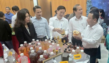 Nghệ An cho ý kiến về tiêu chí nông thôn mới và phát triển sản phẩm OCOP