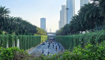 Hà Nội định hướng mỗi tuyến phố trồng một loài cây chủ đạo 